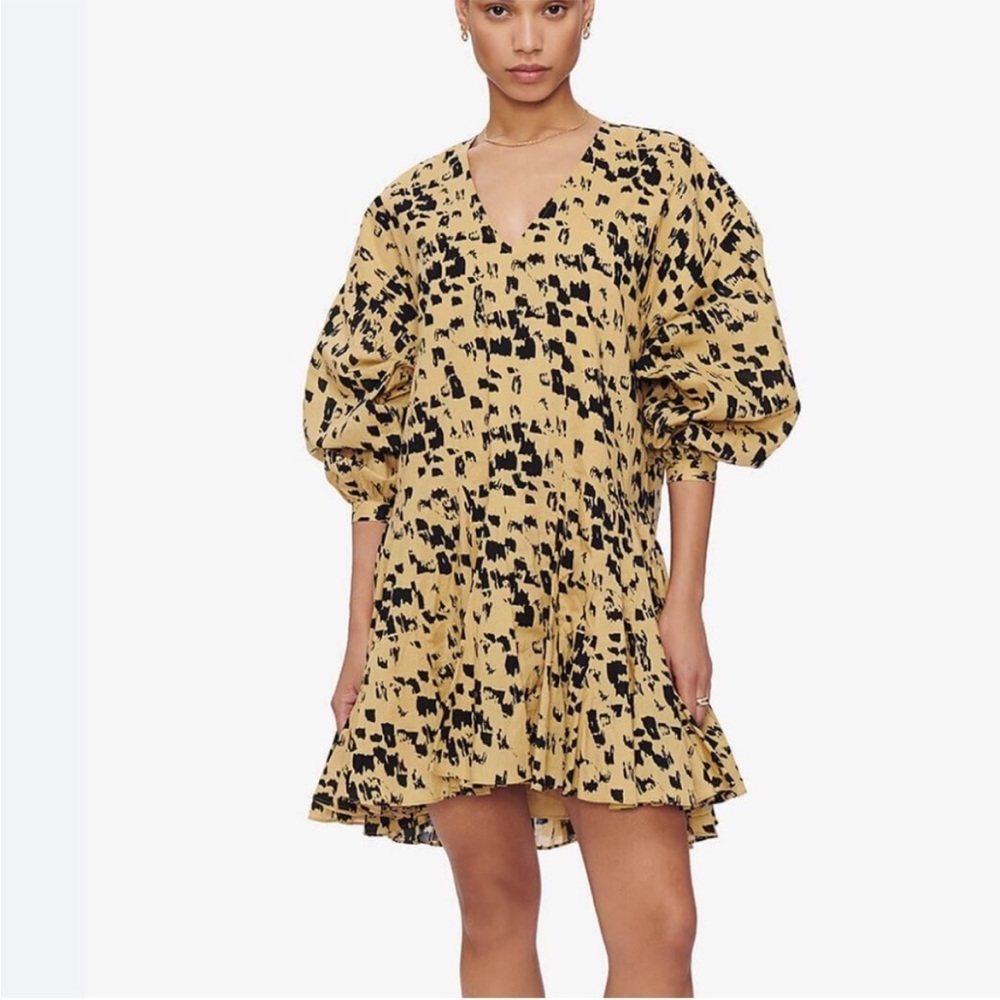 Anine Bing Leopard print dress